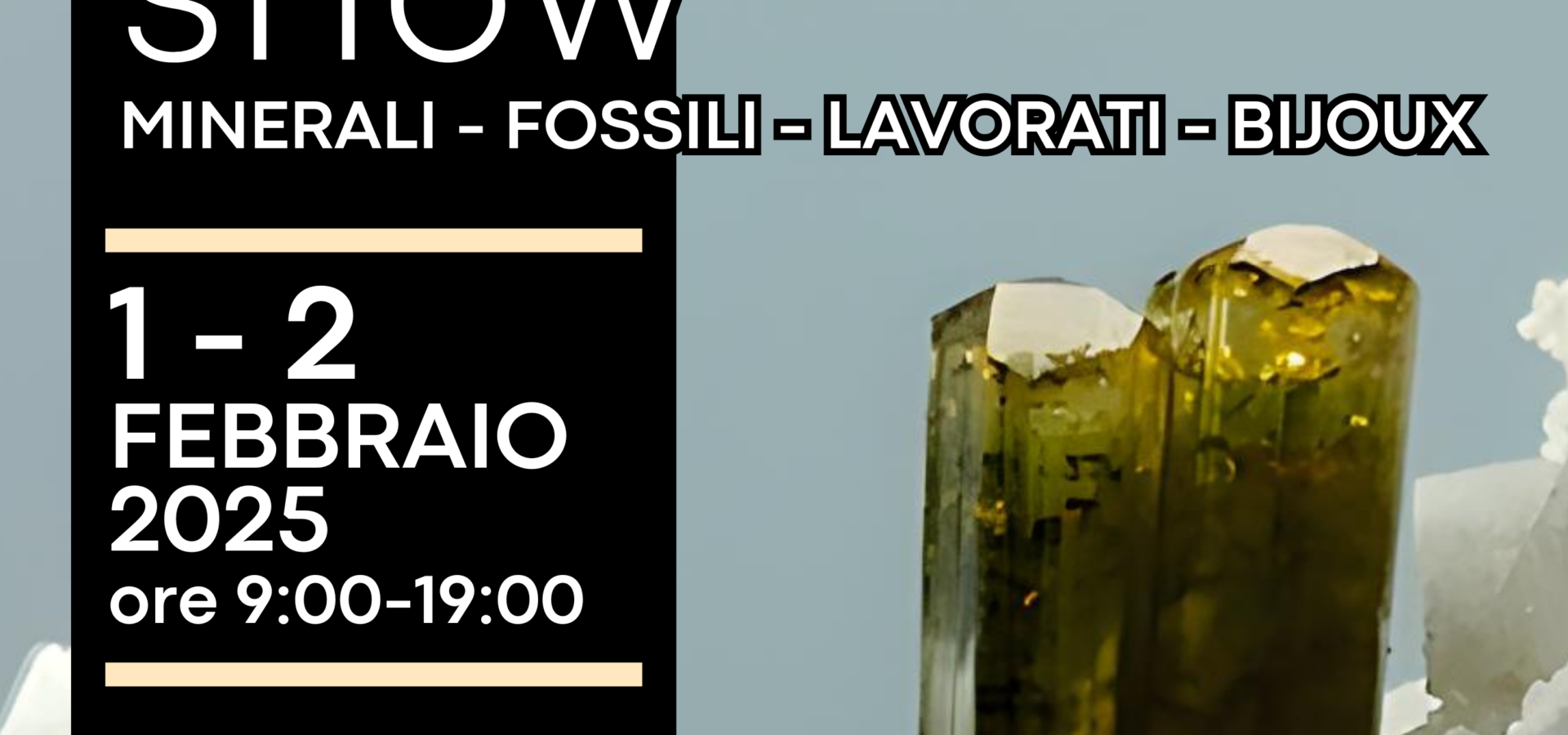 Arezzo Mineral Show 2025 — immagine di copertina