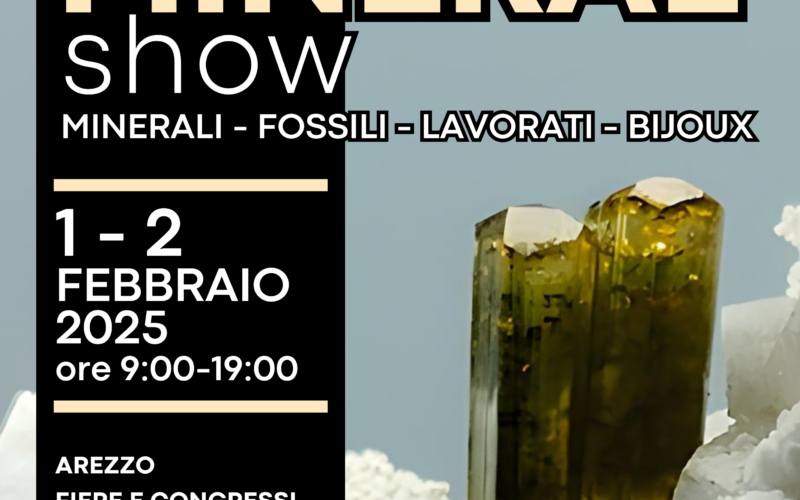 Locandina di Arezzo Mineral Show 2025