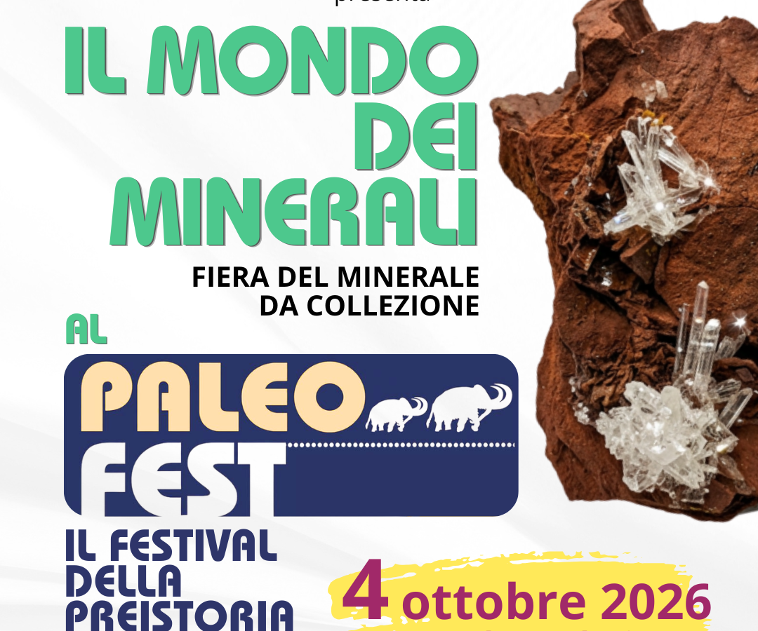 Il Mondo dei Minerali – PaleoFest Montevarchi — immagine di copertina