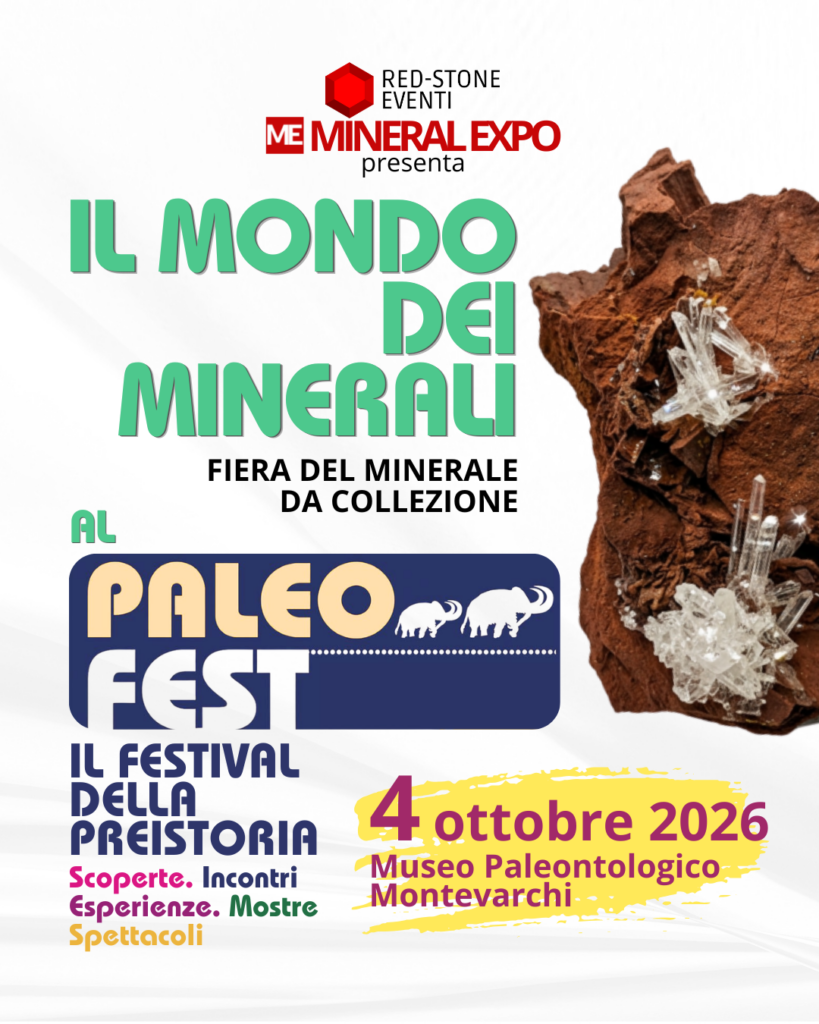 Locandina di Il Mondo dei Minerali – PaleoFest Montevarchi