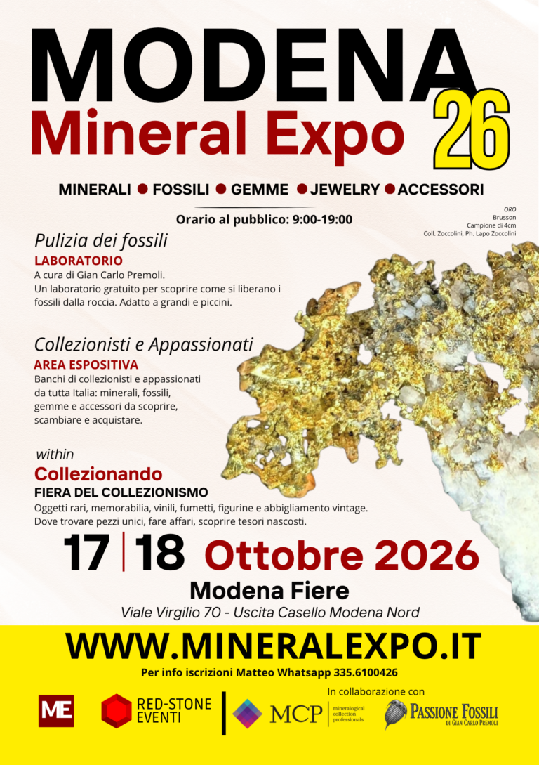 Locandina di Modena Mineral Expo 2026